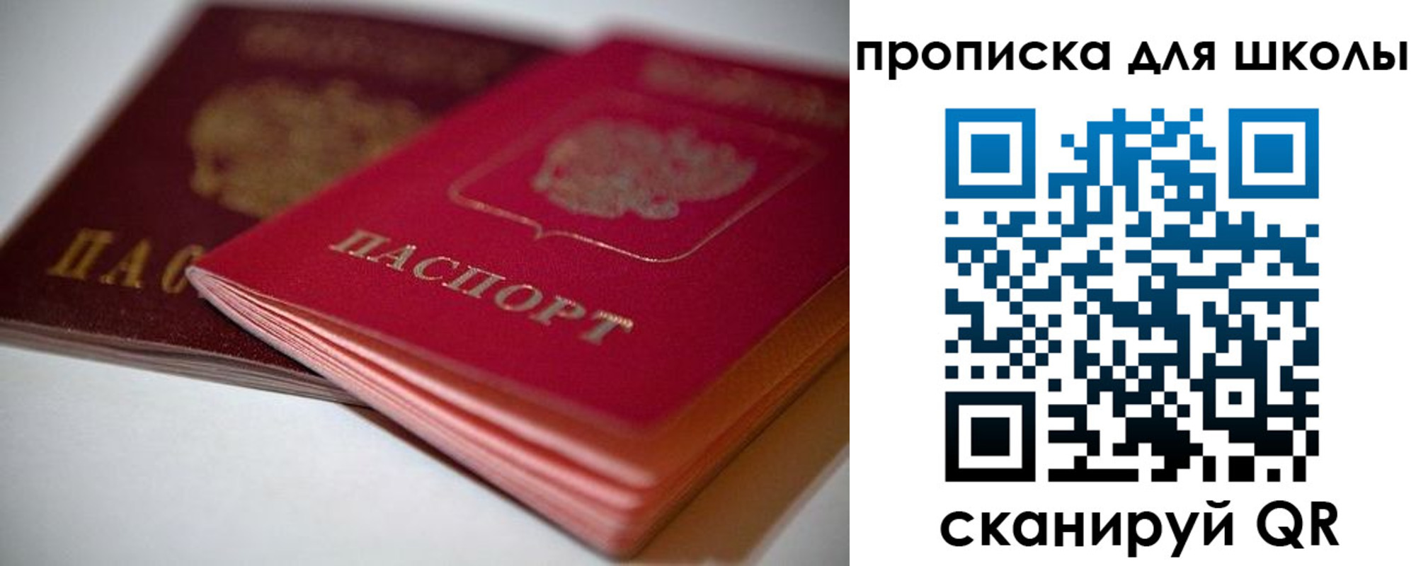 прописка для школы в Кондрово